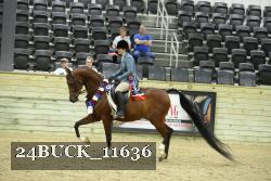 24BUCK_11636 proof