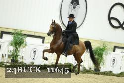 24BUCK_11645 proof