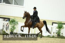 24BUCK_11646 proof