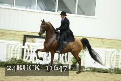 24BUCK_11647 proof
