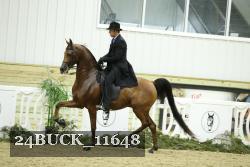 24BUCK_11648 proof