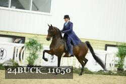 24BUCK_11650 proof