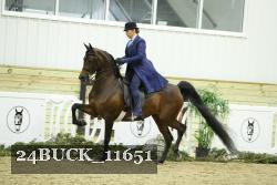 24BUCK_11651 proof