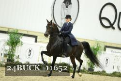 24BUCK_11652 proof