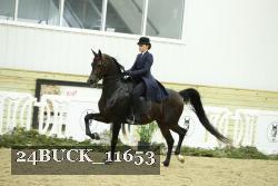 24BUCK_11653 proof