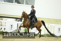 24BUCK_11654 proof