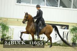 24BUCK_11655 proof