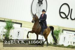 24BUCK_11660 proof