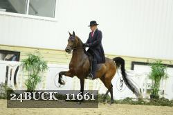 24BUCK_11661 proof