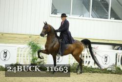 24BUCK_11663 proof