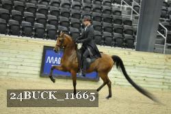 24BUCK_11665 proof