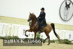 24BUCK_11666 proof