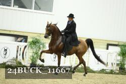 24BUCK_11667 proof