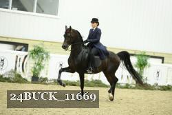 24BUCK_11669 proof