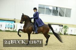 24BUCK_11671 proof