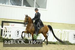 24BUCK_11677 proof