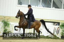 24BUCK_11684 proof