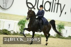 24BUCK_11685 proof