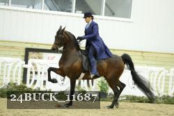 24BUCK_11687 proof