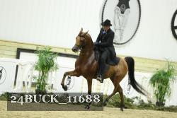 24BUCK_11688 proof