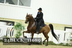 24BUCK_11689 proof