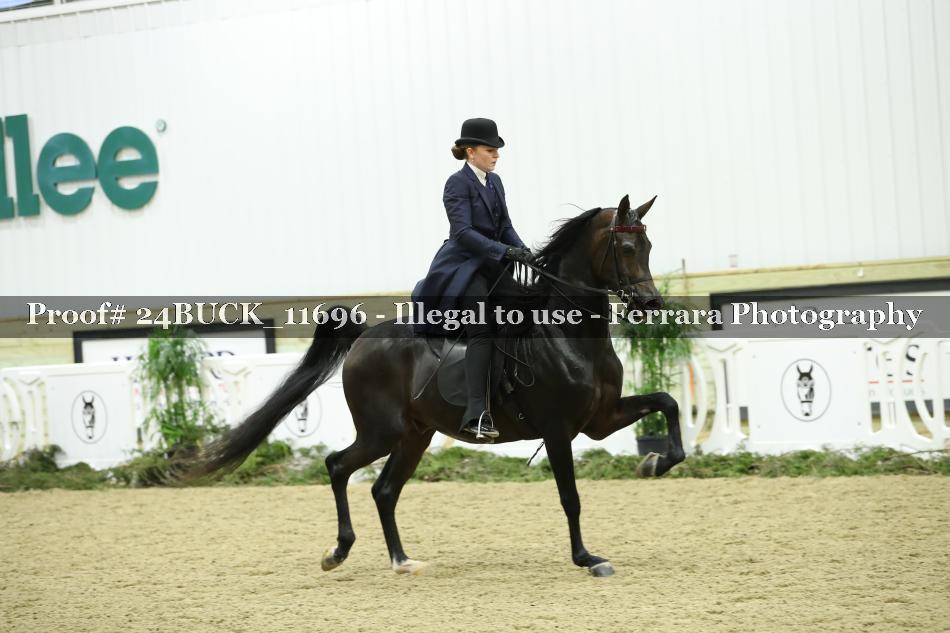 Proof 24BUCK_11696