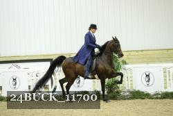 24BUCK_11700 proof