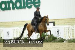 24BUCK_11702 proof