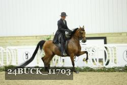 24BUCK_11703 proof
