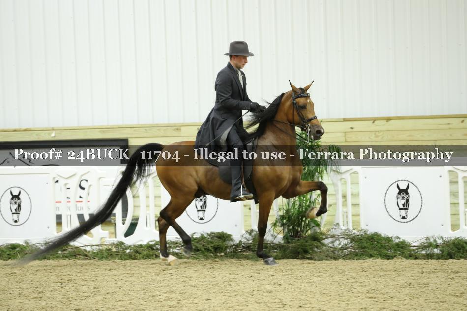Proof 24BUCK_11704
