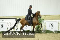 24BUCK_11704 proof