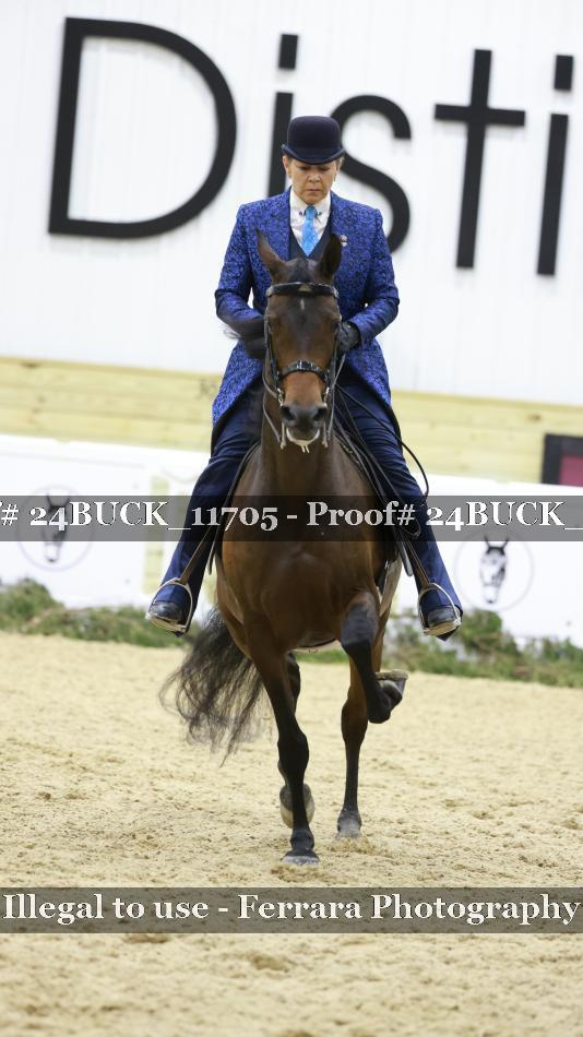 Proof 24BUCK_11705