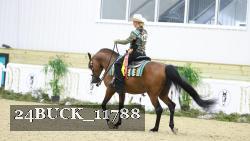 24BUCK_11788 proof
