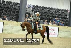 24BUCK_11797 proof