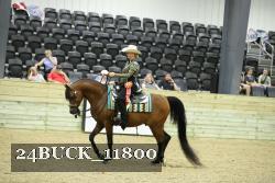 24BUCK_11800 proof
