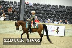 24BUCK_11801 proof