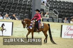 24BUCK_11816 proof