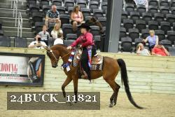 24BUCK_11821 proof