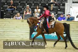 24BUCK_11824 proof