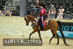 24BUCK_11825 proof
