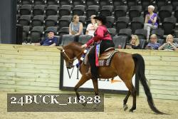 24BUCK_11828 proof