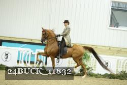 24BUCK_11832 proof