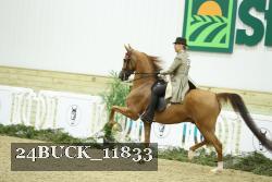 24BUCK_11833 proof