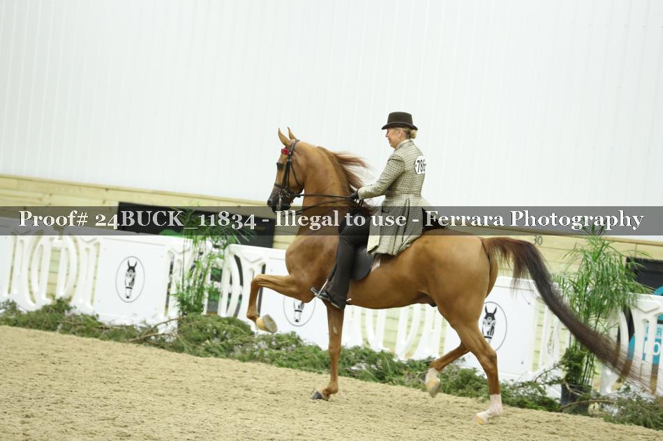 Proof 24BUCK_11834