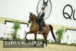 24BUCK_11836 proof