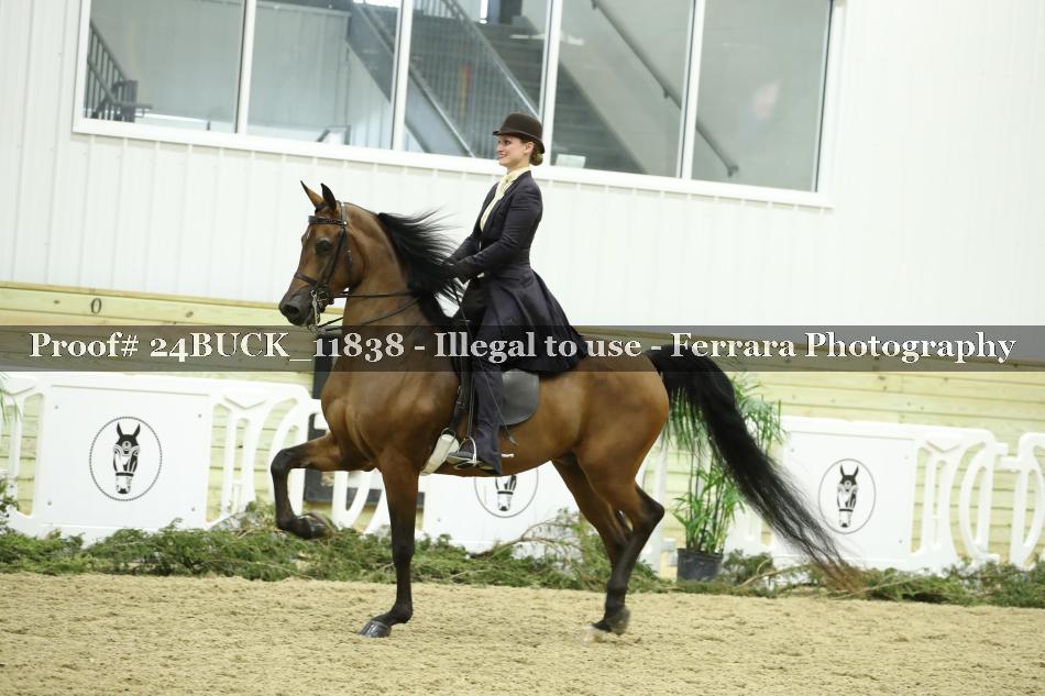 Proof 24BUCK_11838