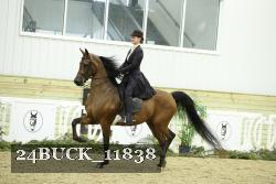 24BUCK_11838 proof