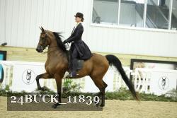 24BUCK_11839 proof