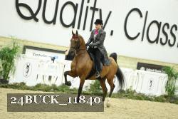24BUCK_11840 proof