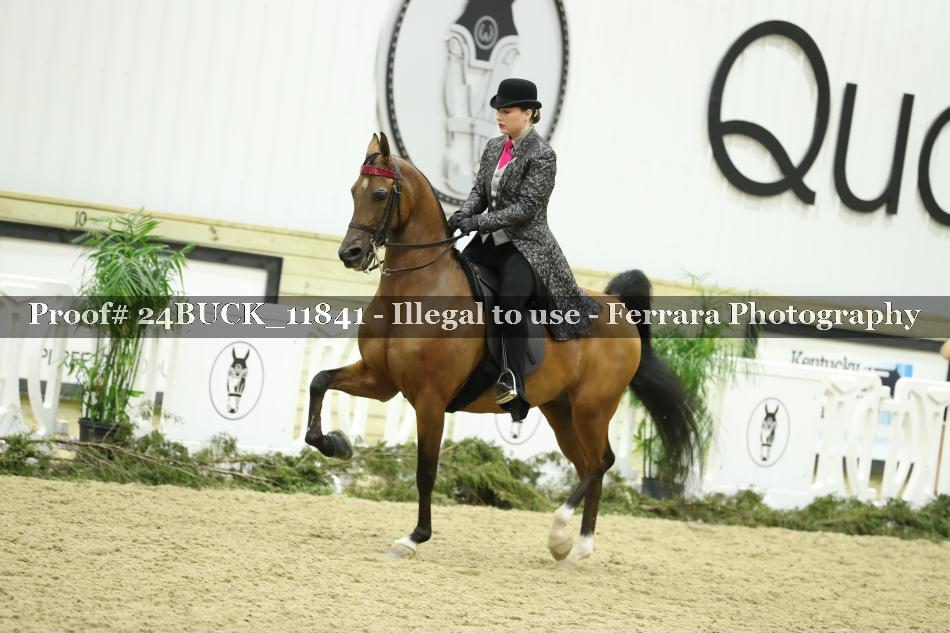 Proof 24BUCK_11841